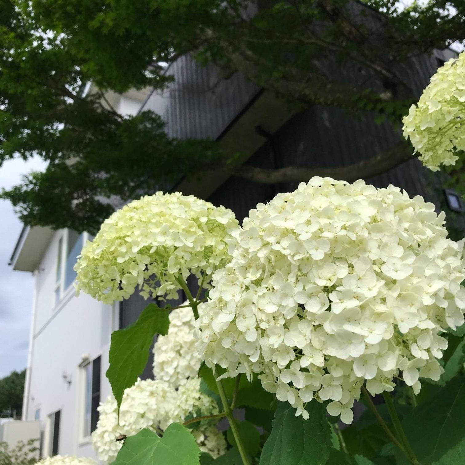 Sweet Villa Takasama - Vacation Stay 11775 Фудзиёсида Экстерьер фото