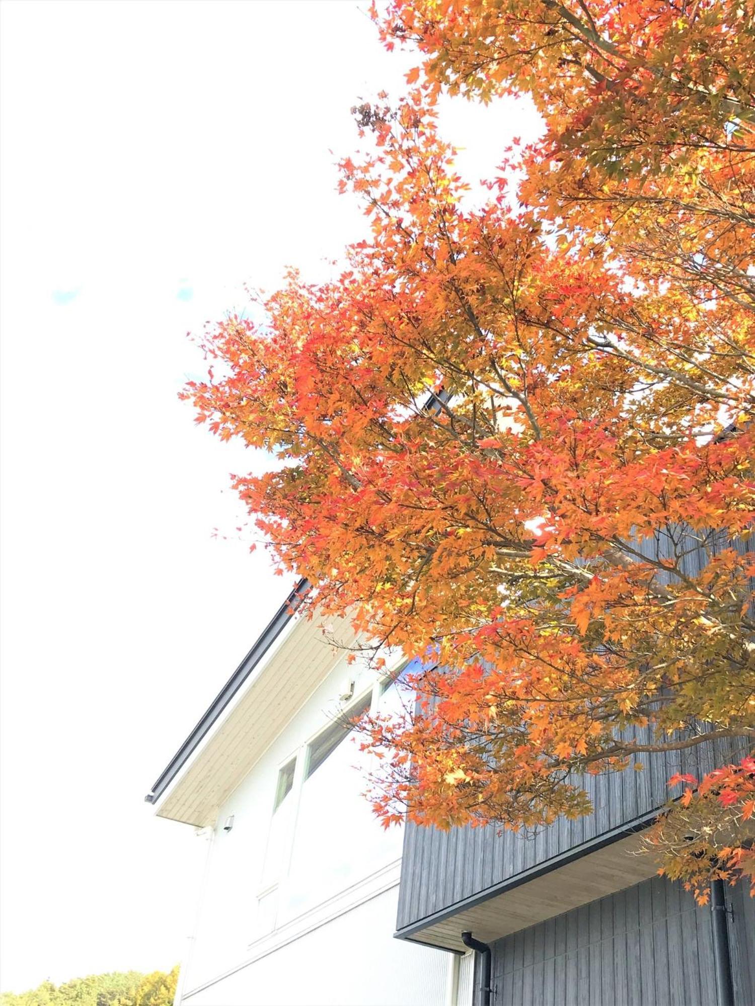 Sweet Villa Takasama - Vacation Stay 11775 Фудзиёсида Экстерьер фото